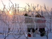 Foto - ledove-RR-2010-03.jpg